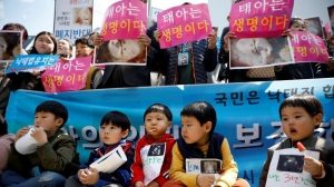 #POEConsultoresrecomienda