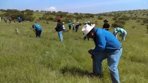 #POEConsultoresrecomienda