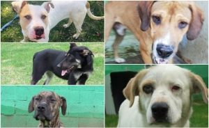 #POEConsultoresrecomienda